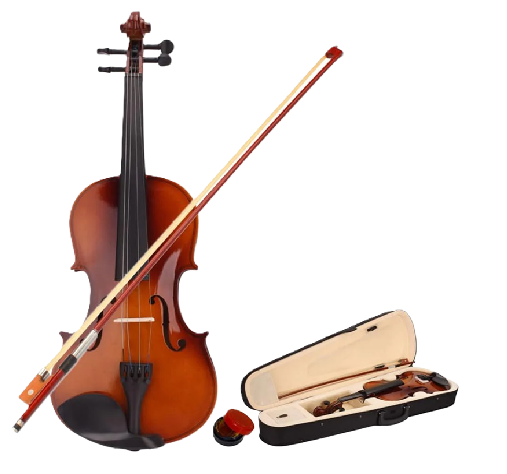 Solidwood Drumroll Violin - GN660