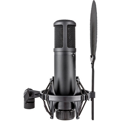 sE Electronics sE2200 Large-Diaphragm Cardioid Condenser Microphone with Isolation Pack (Black)