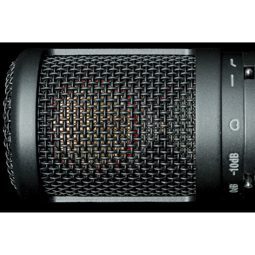 sE Electronics sE2200 Large-Diaphragm Cardioid Condenser Microphone with Isolation Pack (Black)
